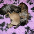 12days_002.jpg