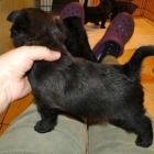 12_miot_bc_004.jpg