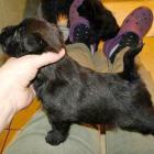 12_miot_bc_005.jpg