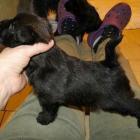12_miot_bc_006.jpg