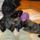 12_miot_bc_008.jpg