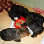 12_miot_bc_009.jpg