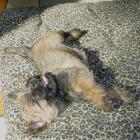 12_miot_lc_018.jpg