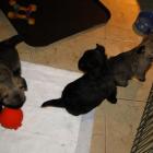 11_miot_sc_029.jpg