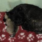 11_miot_sc_031.jpg