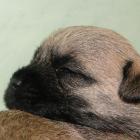 11_miot_sc_025.jpg