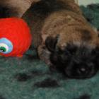 11_miot_sc_026.jpg
