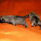 11_miot_sc_016.jpg