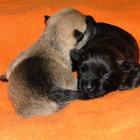 11_miot_sc_018.jpg