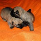 11_miot_sc_021.jpg