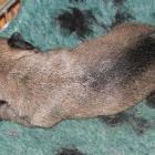 11_miot_sc_008.jpg