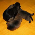 11_miot_sc_010.jpg