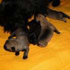 11_miot_sc_011.jpg