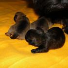 11_miot_sc_012.jpg