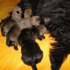 11_miot_sc_014.jpg