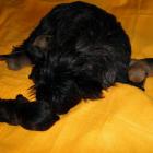 11_miot_sc_015.jpg