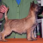 10_miot_rc_055.jpg