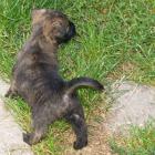 10_miot_rc_020.jpg