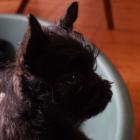 09_miot_b_042.jpg