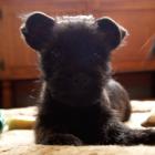 09_miot_b_047.jpg