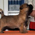 09_miot_b_029.jpg
