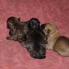09_miot_b_005.jpg