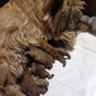 miot_D_08.05.001.jpg