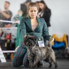 MOLLY_NDM_10.22.jpg