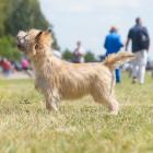 DSC06702-Edit-Edit.jpg