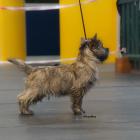 DSC07851.jpg