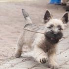DSC07054-Edit.jpg