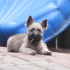 DSC07092.jpg