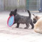 DSC07094.jpg