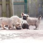 DSC07098-Edit.jpg