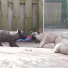 DSC07106.jpg