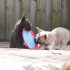 DSC07107.jpg