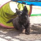 DSC07113.jpg