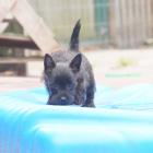 DSC07413.jpg