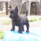 DSC07451.jpg