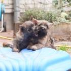 DSC07470.jpg