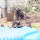DSC07475.jpg