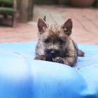 DSC07496.jpg