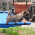 DSC07540.jpg