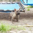 DSC07544.jpg
