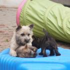 DSC07637.jpg