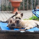 DSC07646.jpg