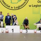 BIS_Puppy_Lenorka_NDM_12.24.jpg