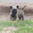 DSC08055-Edit.jpg