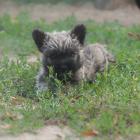 DSC08058.jpg