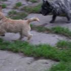 catch-me-01.jpg